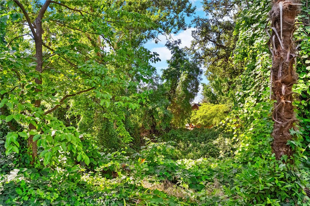 https://media.crmls.org/medias/390daf4b-8c6d-4731-9f56-c4be2dd62a4e.jpg?preset=X-Large