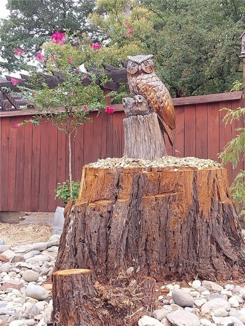 600 6th Street, Lakeport CA: https://media.crmls.org/medias/390e4ec0-e22e-460b-a52c-84614a8498ef.jpg