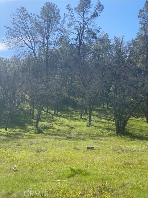 16587 Stagecoach Road, Corning, California 96021, ,Land,For Sale,16587 Stagecoach Road,CRFR23051146