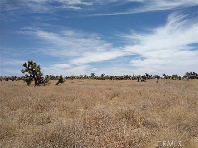 0 Ave A & 243rd St West, Rosamond, California 93560, ,Land,For Sale,0 Ave A & 243rd St West,CRSR23203513