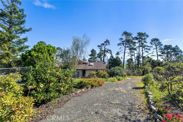 Detail Gallery Image 21 of 32 For 1909 Pineridge, Cambria,  CA 93428 - 2 Beds | 2 Baths