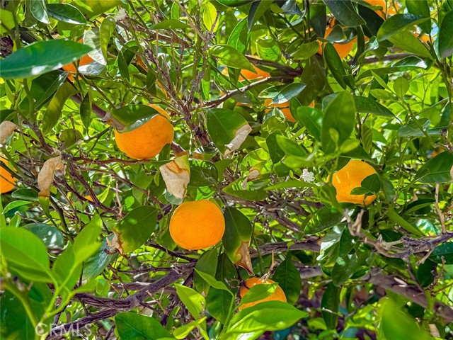 Detail Gallery Image 41 of 45 For 8371 Capistrano Ave, West Hills,  CA 91304 - 5 Beds | 3 Baths