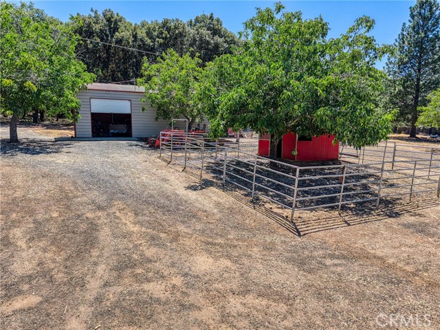 Detail Gallery Image 60 of 74 For 8700 Red Hills Rd, Kelseyville,  CA 95451 - 5 Beds | 3 Baths