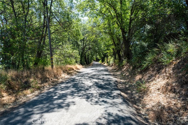 Detail Gallery Image 19 of 42 For 9600 Seigler Springs North Road, Kelseyville,  CA 95451 - – Beds | – Baths