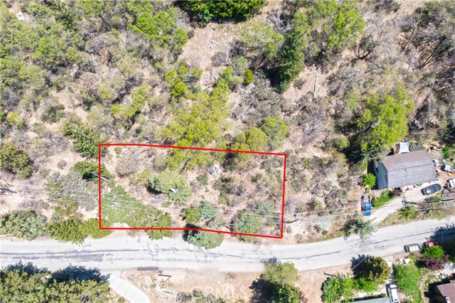 6011 Mountain Home Creek Road, Angelus Oaks, California 92305, ,Land,For Sale,6011 Mountain Home Creek Road,CREV23173509