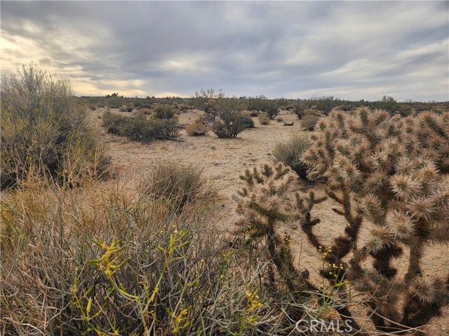 Detail Gallery Image 10 of 23 For 4147 Sunburst St, Joshua Tree,  CA 92252 - – Beds | – Baths