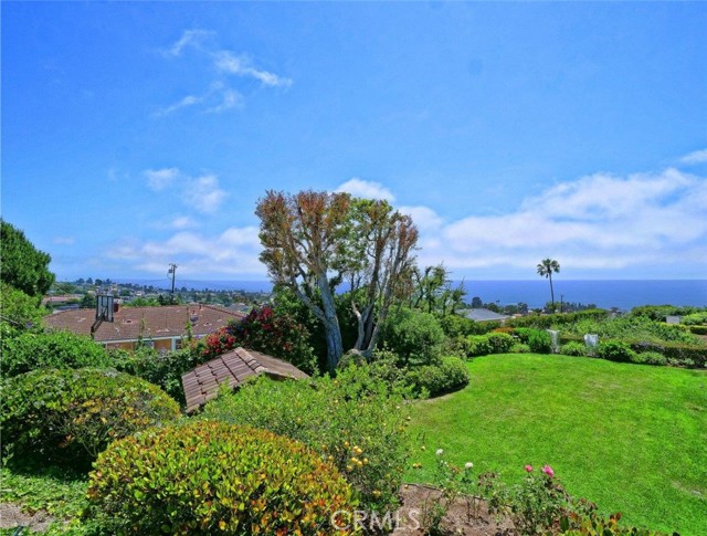 Ocean and Catalina View