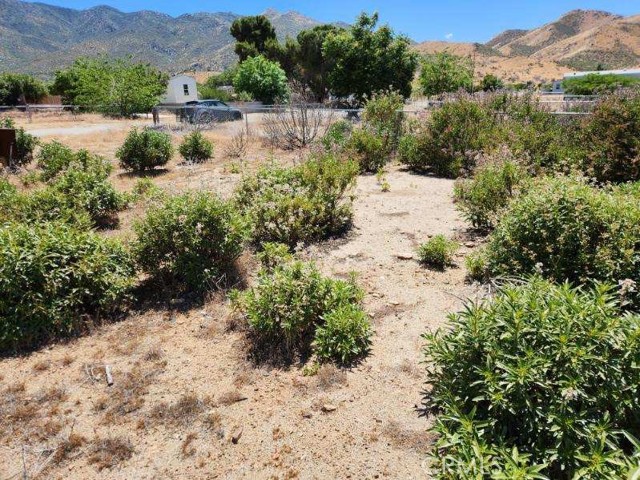 8509 Starbrite Dr, Lake Isabella CA: https://media.crmls.org/medias/393be8d4-6106-4525-8f4f-c80f9e5776ae.jpg