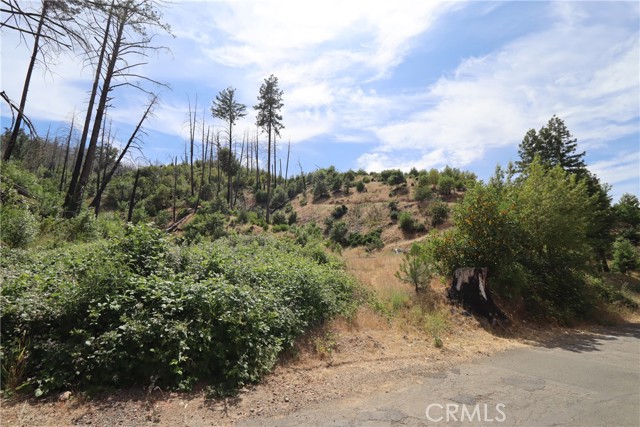 11231 Anderson Springs Road, Middletown, California 95461, ,Land,For Sale,11231 Anderson Springs Road,CRLC23106837