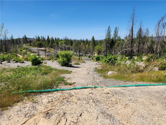 2175 Bald Rock Road, Berry Creek, California 95916, ,Land,For Sale,2175 Bald Rock Road,CROR23084026