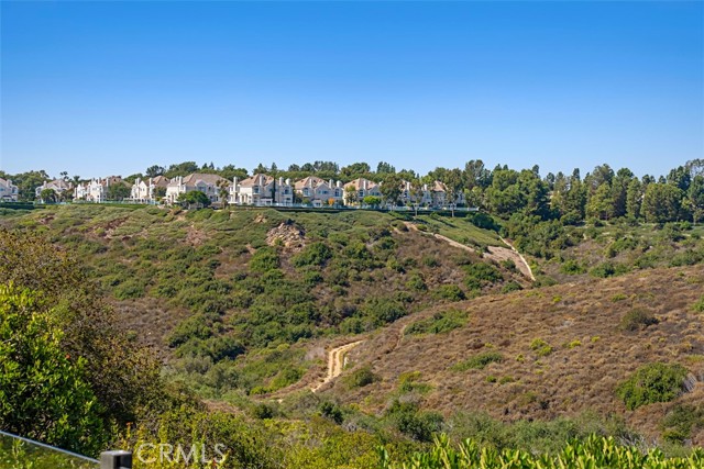 Detail Gallery Image 15 of 48 For 5 Monterey Pine Dr, Newport Coast,  CA 92657 - 4 Beds | 4/1 Baths