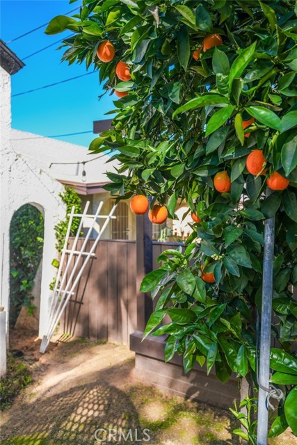 Image 27 of 71 For 1361 Armadale Avenue