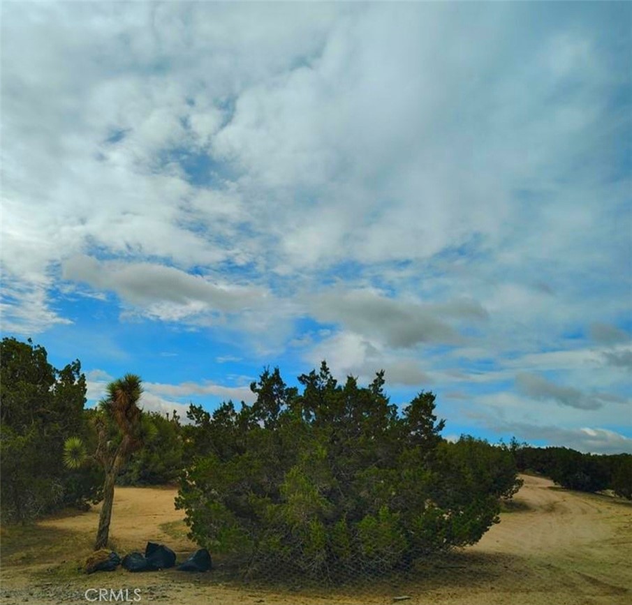 MLS #HD26132902 image #4