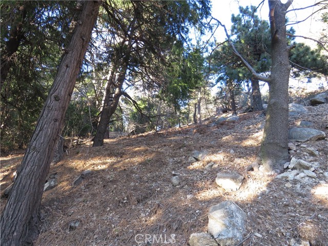 0 Peak Circle, Cedarpines Park, California 92322, ,Land,For Sale,0 Peak Circle,CRCV23013750