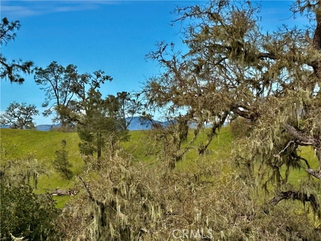3260 Timberline drive, Paso Robles CA: https://media.crmls.org/medias/395a7c45-f4f5-4a64-8436-0b7744206c62.jpg