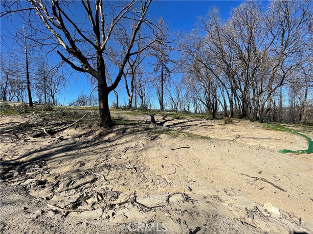 363 Raccoon, Berry Creek, CA, 95916 363 Raccoon, Berry Creek, CA, 95916