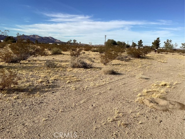 Detail Gallery Image 5 of 14 For 42979 Mandrill St, Newberry Springs,  CA 92365 - – Beds | – Baths