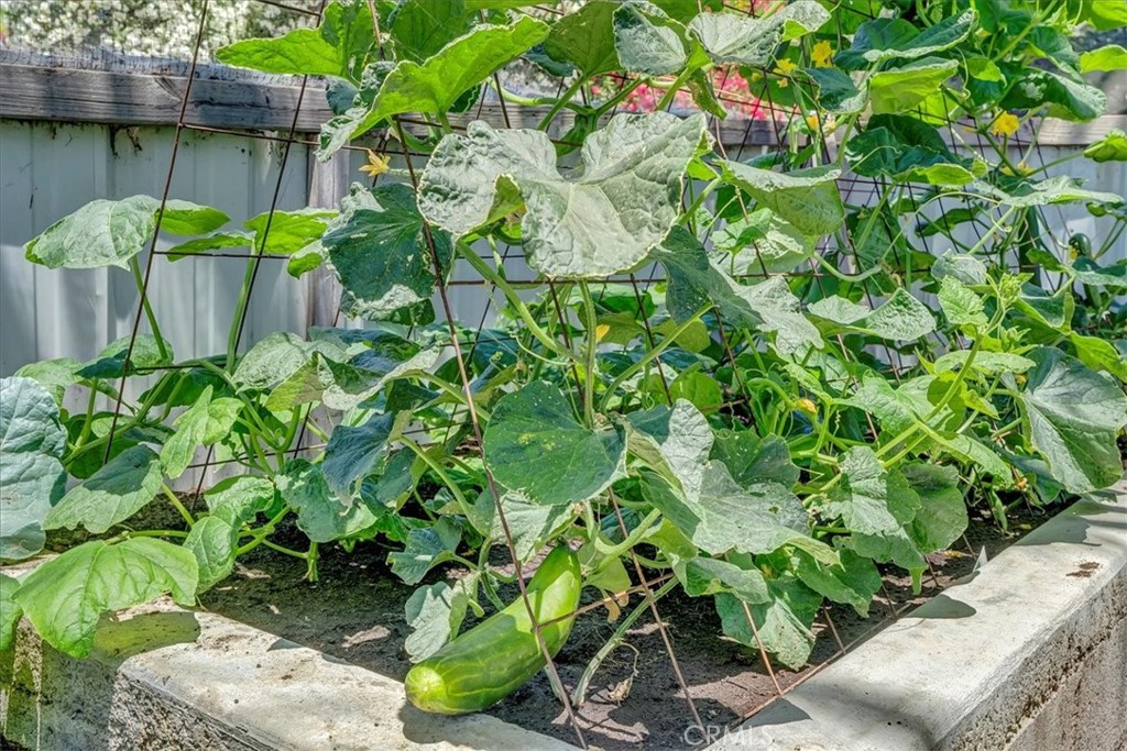 https://media.crmls.org/medias/39690149-9288-4b71-a5b9-96503f6d7dc3.jpg?preset=X-Large