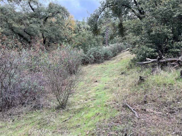 Detail Gallery Image 5 of 12 For 0 Jean Rd, Oakhurst,  CA 93644 - – Beds | – Baths