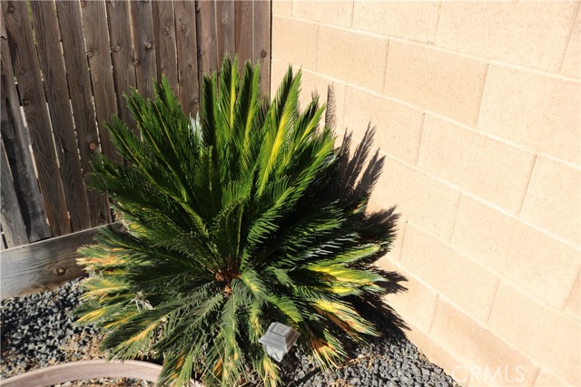 Detail Gallery Image 8 of 36 For 1988 Truckee Dr, Atwater,  CA 95301 - 4 Beds | 2 Baths