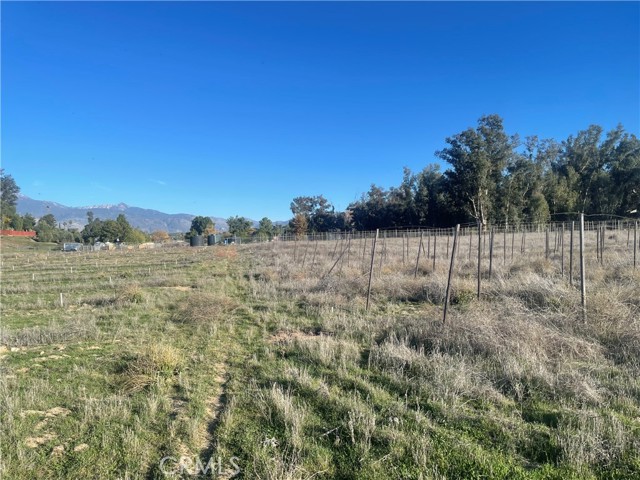 Detail Gallery Image 21 of 38 For 0 Cornell St, Hemet,  CA 92544 - – Beds | – Baths