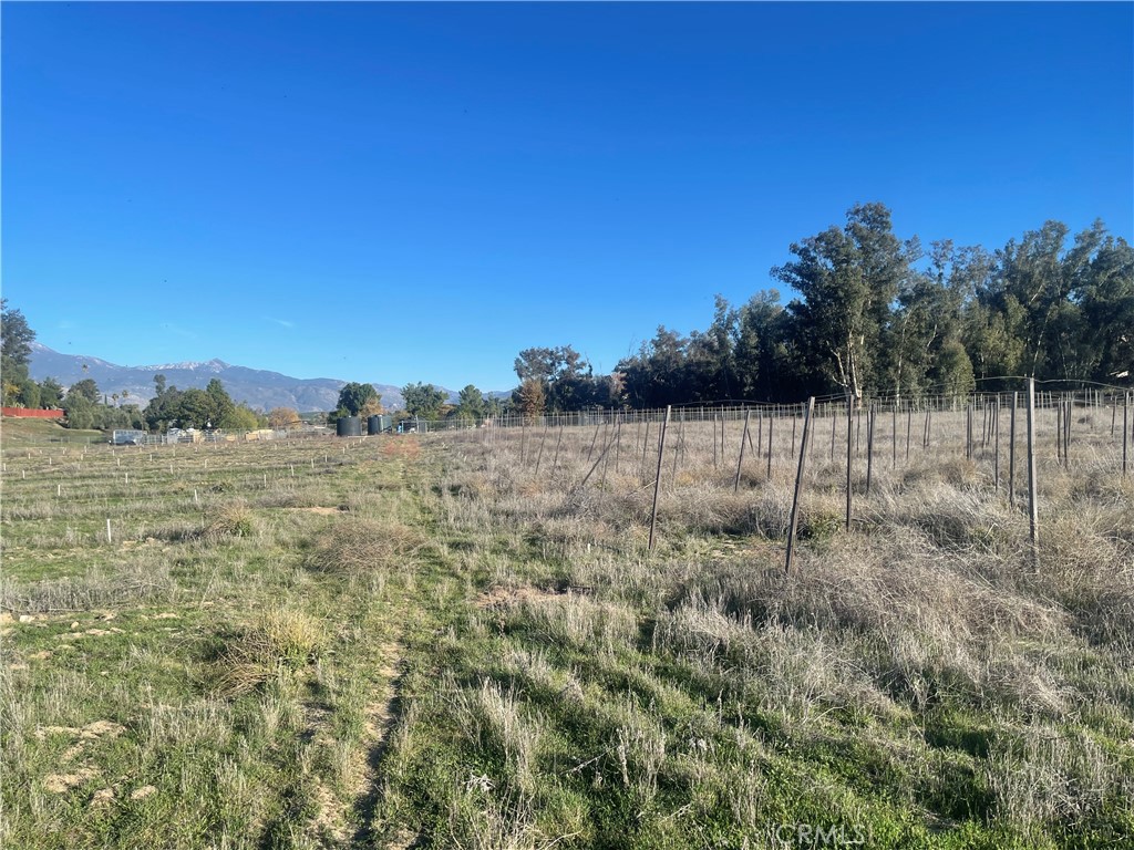 MLS #WS25276306 image #22