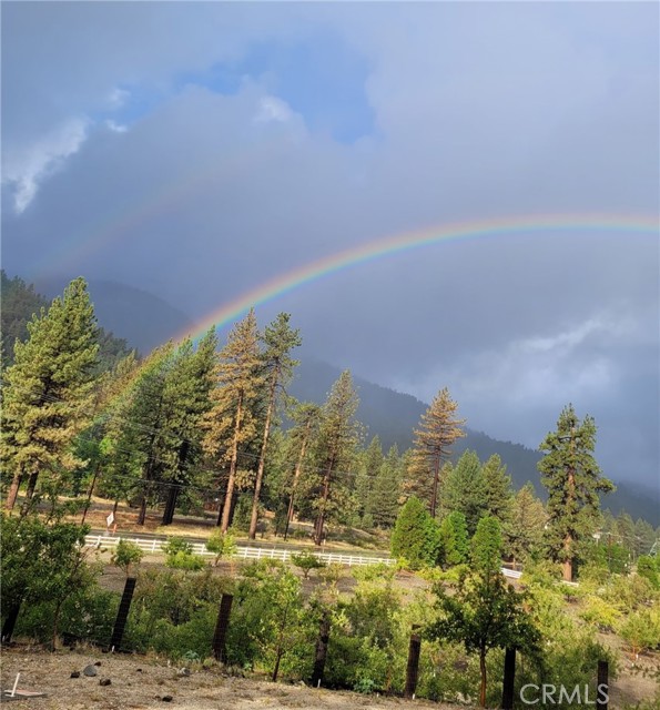 Detail Gallery Image 28 of 30 For 1025 Rivera, Wrightwood,  CA 92397 - 3 Beds | 2 Baths