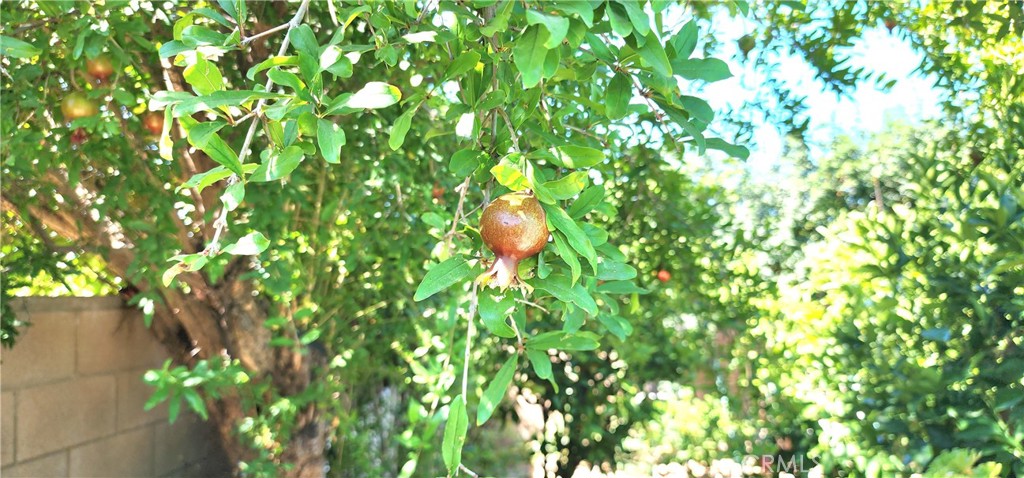 https://media.crmls.org/medias/398db54b-3e4e-4071-b44b-c627d0b7a408.jpg?preset=X-Large