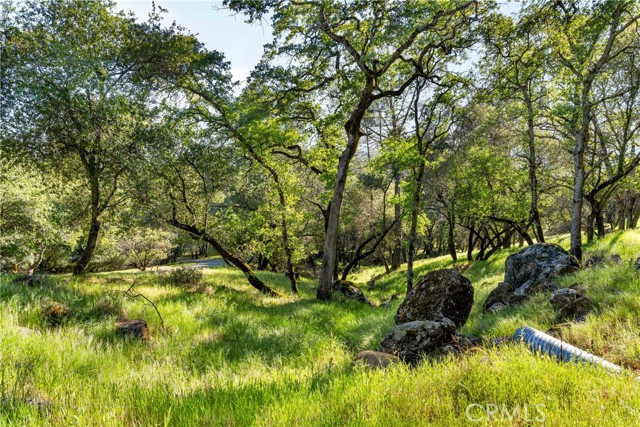 Detail Gallery Image 17 of 31 For 0 Iron Mine Rd, Auburn,  CA 95602 - – Beds | – Baths