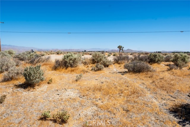 Front Image Thumbnail for CRCV26139423
