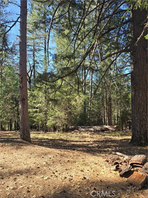 Detail Gallery Image 4 of 4 For 16303 Niblick, Cobb,  CA 95426 - – Beds | – Baths