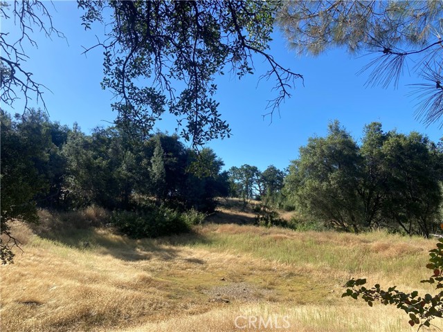 0 State Hwy 140, Mariposa CA: https://media.crmls.org/medias/39974a01-0f39-4cf0-bed6-e2a79af31295.jpg
