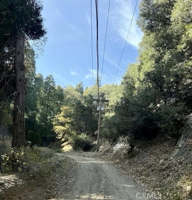 0 Burnt Mill Canyon Road, Cedarpines Park CA: https://media.crmls.org/medias/39a160a3-7609-4c94-be59-875937c9d84a.jpg