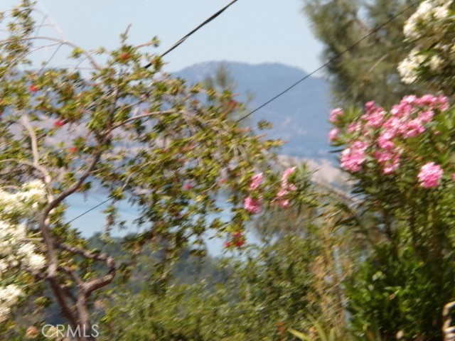 3440 Westridge Drive, Kelseyville CA: https://media.crmls.org/medias/39a3a942-69ca-4bd2-a399-242618f9c136.jpg