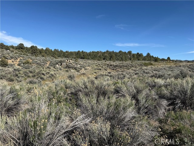 Detail Gallery Image 15 of 20 For 0 310-240-001 Kennedy Meadows Rd, –,  CA 93527 - – Beds | – Baths