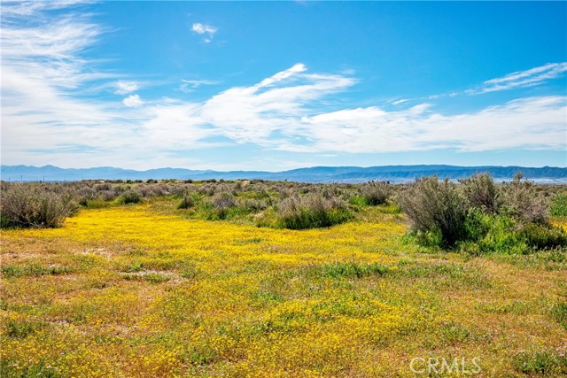 Detail Gallery Image 6 of 12 For 0 Avenue C-8, Antelope Acres,  CA 93536 - – Beds | – Baths