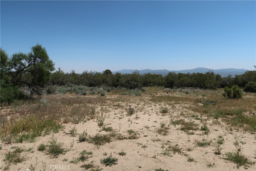 55490 Pinetree Lane