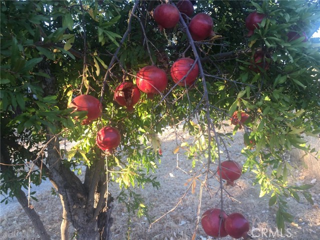 Image 34 of 59 For 3470 Ranchita Cyn Rd