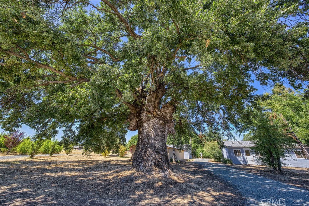 https://media.crmls.org/medias/39b3871b-11f8-4c6c-a096-6e3fc2d992e4.jpg?preset=X-Large