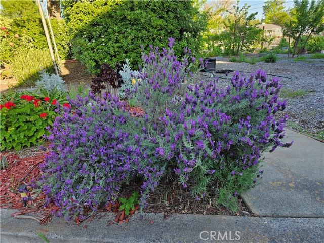 Detail Gallery Image 7 of 22 For 7749 Highland Ave, Citrus Heights,  CA 95610 - 1 Beds | 1 Baths