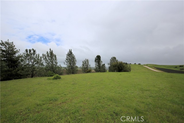 14 Rita Street, Paso Robles, California 93446, ,Land,For Sale,14 Rita Street,CRNS23047579