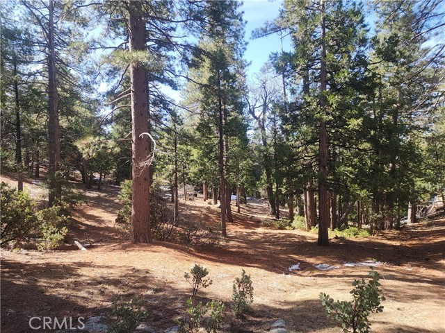 Detail Gallery Image 46 of 61 For 52547 Pine Cove Rd, Idyllwild,  CA 92549 - – Beds | – Baths