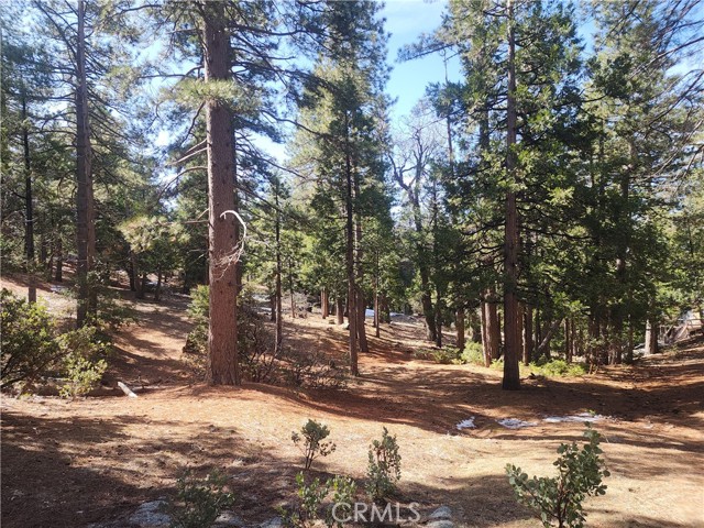 Detail Gallery Image 46 of 61 For 52547 Pine Cove Rd, Idyllwild,  CA 92549 - – Beds | – Baths