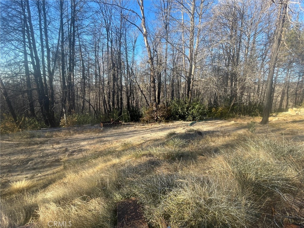 2629 Bald Rock Road, Berry Creek, CA 95916