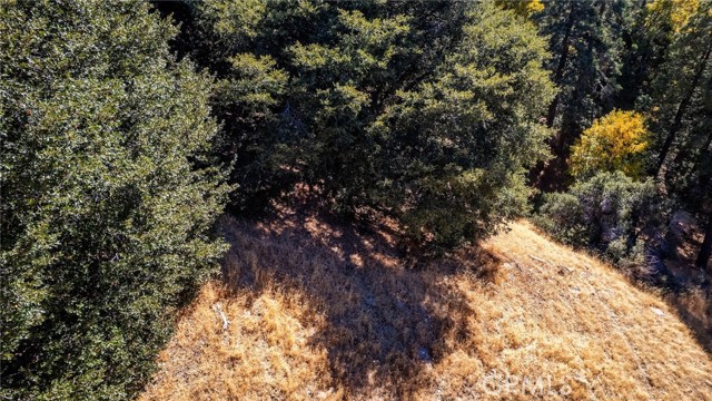 Detail Gallery Image 11 of 40 For 0 Mojave River Rd, Cedarpines Park,  CA 92322 - – Beds | – Baths