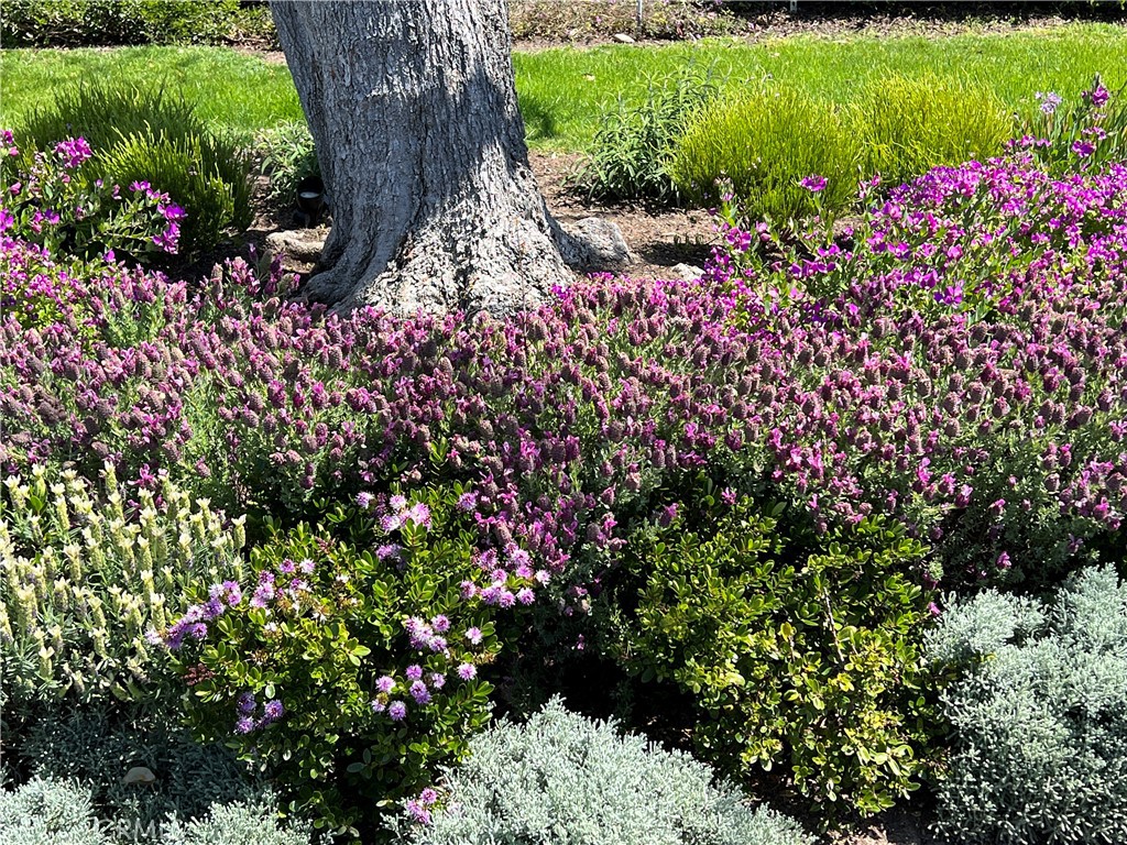 MLS #OC25239987 image #58