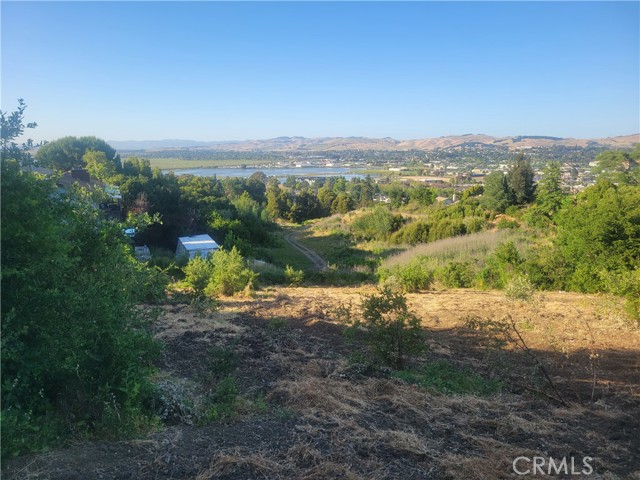 Front Image Thumbnail for CROC26051090