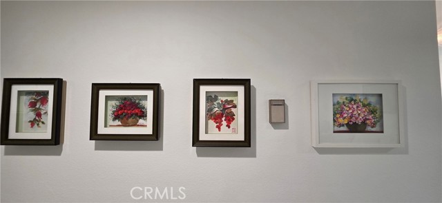 715 S Webster Avenue, Anaheim CA: https://media.crmls.org/medias/39d3124c-0d5a-48f1-a90c-5dd46606c1ff.jpg