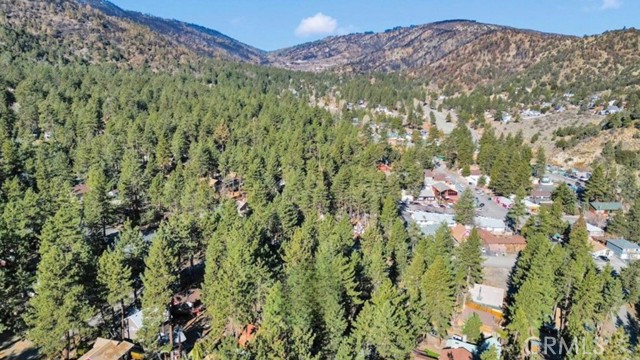 Detail Gallery Image 13 of 24 For 1301 Irene St, Wrightwood,  CA 92397 - 3 Beds | 1 Baths