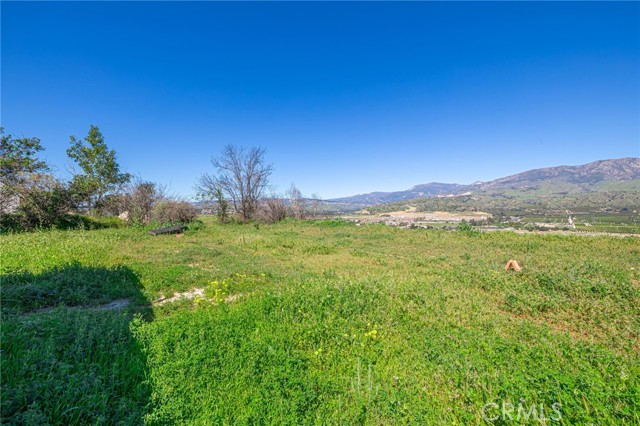 Detail Gallery Image 29 of 35 For 18500 S Mountain Rd, Santa Paula,  CA 93060 - – Beds | – Baths